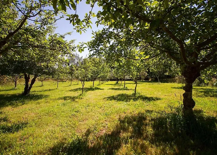 Willa Pazo Do Vilar Padrón